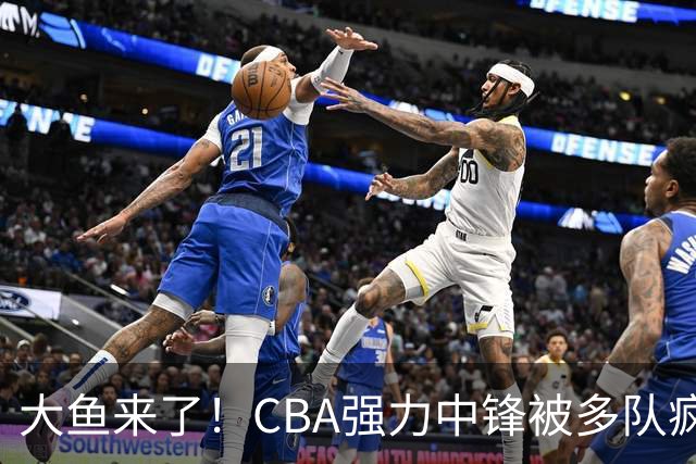 大鱼来了！CBA强力中锋被多队疯抢，或加盟广东队驰援杜锋？