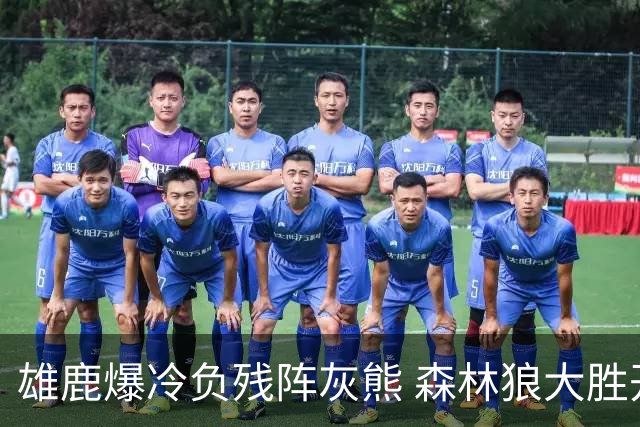 雄鹿爆冷负残阵灰熊 森林狼大胜开拓者4连胜