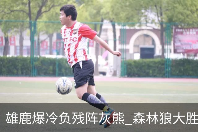 雄鹿爆冷负残阵灰熊 森林狼大胜开拓者4连胜